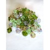 Broche en Grappe de Cristal