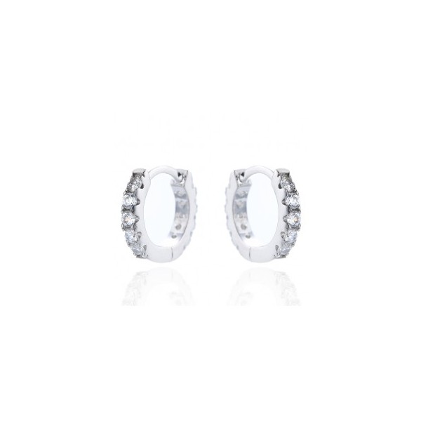 Boucles d'Oreilles avec Anneau en Argent et Zirconium